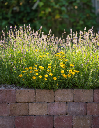 Walling & Brickwork 2
